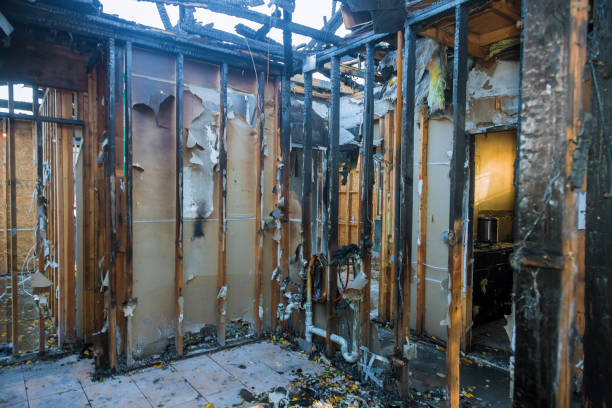 Professional Fire Damage Removal technician working in Dadeville, AL